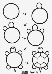 How to draw turtle