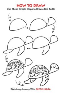 how to draw turtle