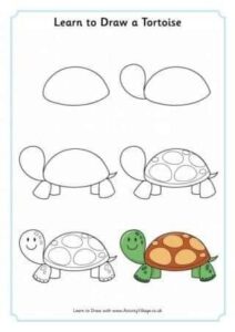 how to draw turtle